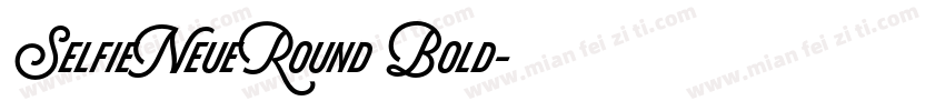 SelfieNeueRound Bold字体转换